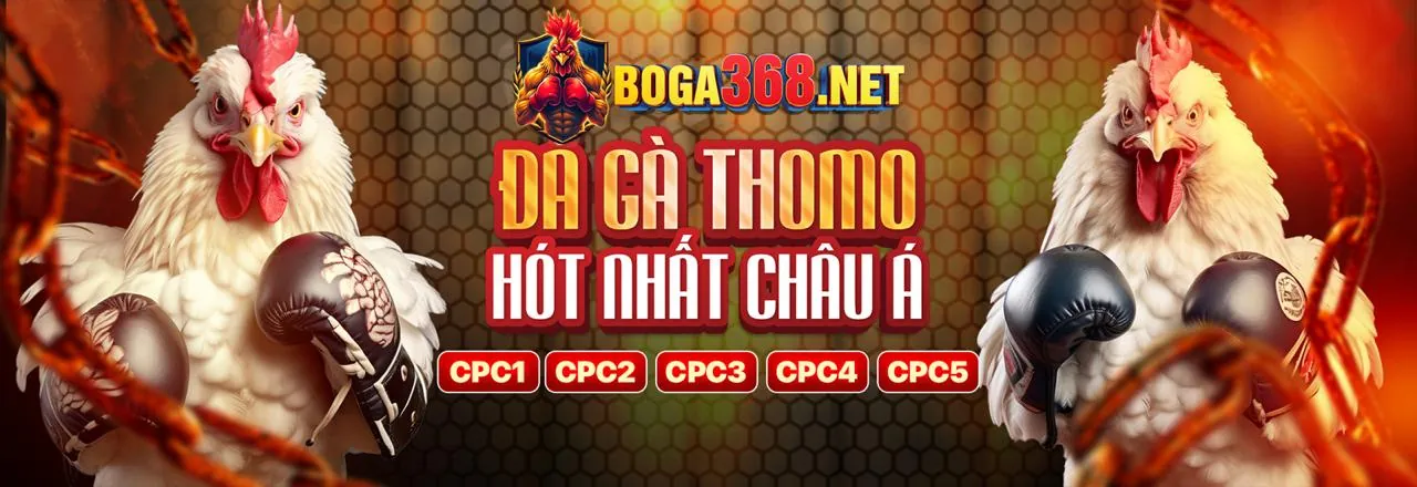 Đấu trường đá gà trực tuyến sôi động tại fly88b đăng nhập